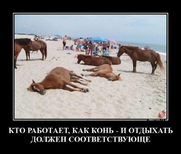 Кто работает как конь...