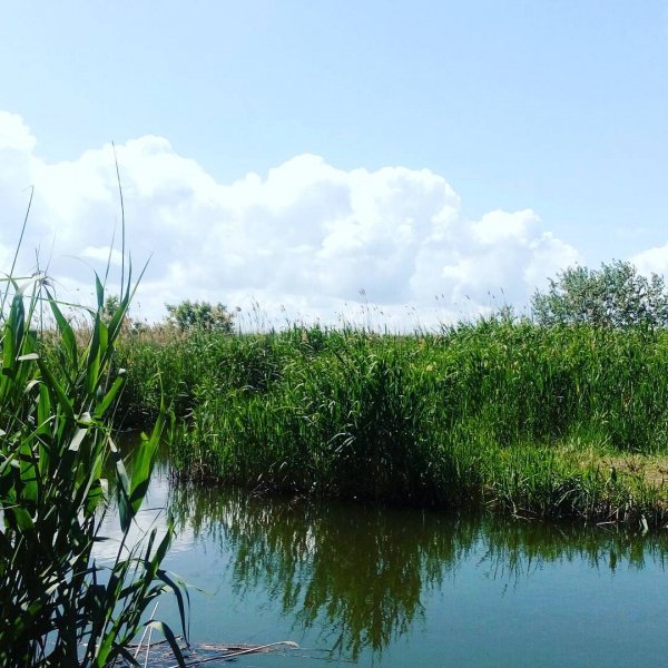 Хорошая погода для рыбалки