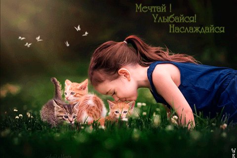 file_78310901
