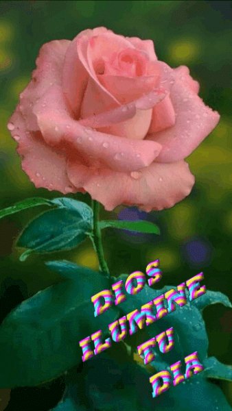 file_90172268