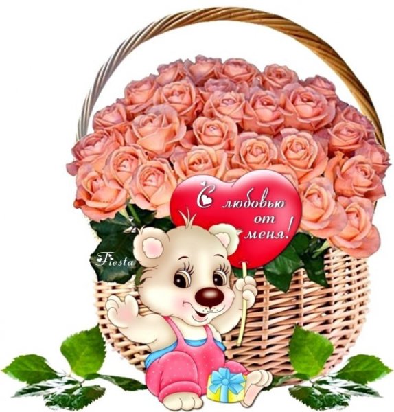 IMG 20171130 063531 69