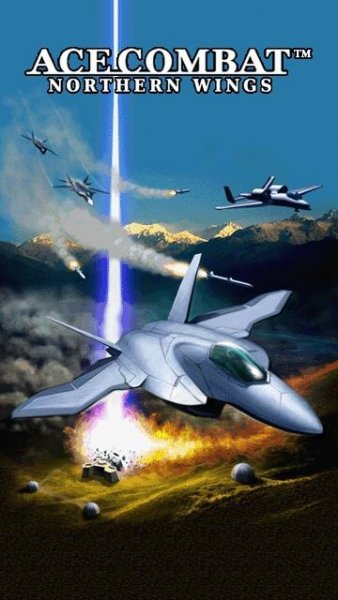 Ace Combat by Namco tiger121