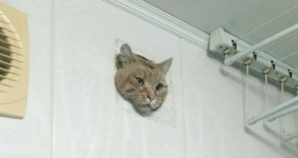 1 1 2 20240705 180614