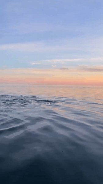 file_97386638