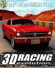 3D Racing Evolution