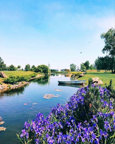 photo 2018-05-26 10-20-51