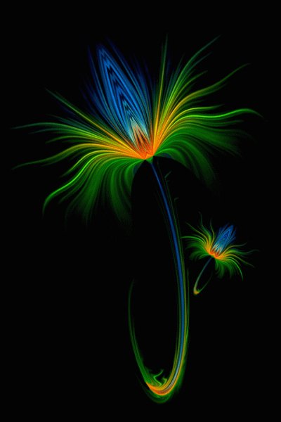 Flower-Animation-gif66