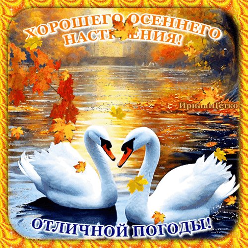 Анимированная открытка отличной погоды