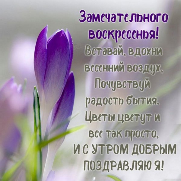 IMG-20250316-WA0015