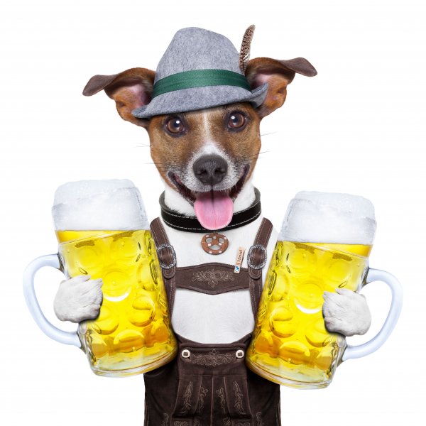 Shutterstock 145636612