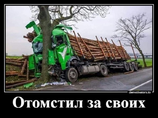 file_82702985