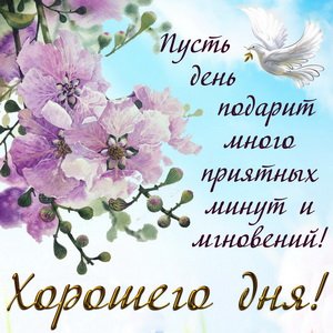 IMG 20190131 040754