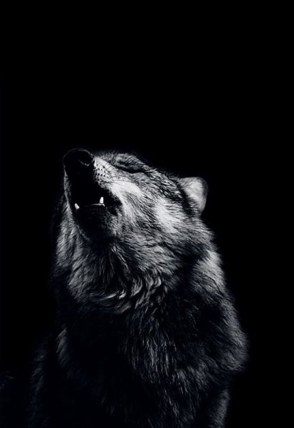 5c759f767a8a8a35fa9eeff1b7541194