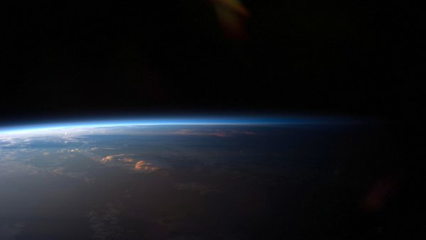 file_101362737