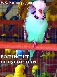 Волнистые попугайчики
