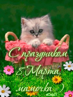 file_28287852