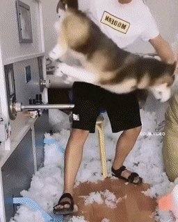 гг