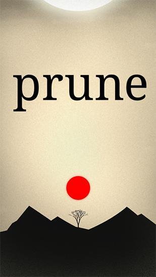 Prune 1.0.33