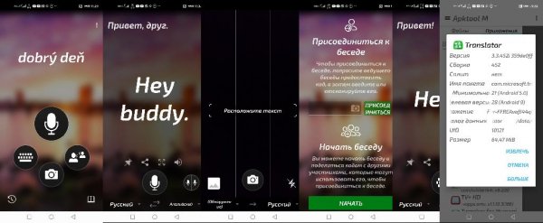 Translator v3.3.452i 359de0ff(452)