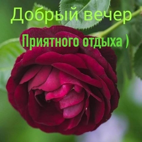 durpgBJYviI