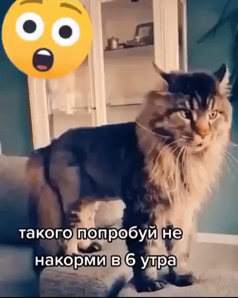 IMG 20230205 234615