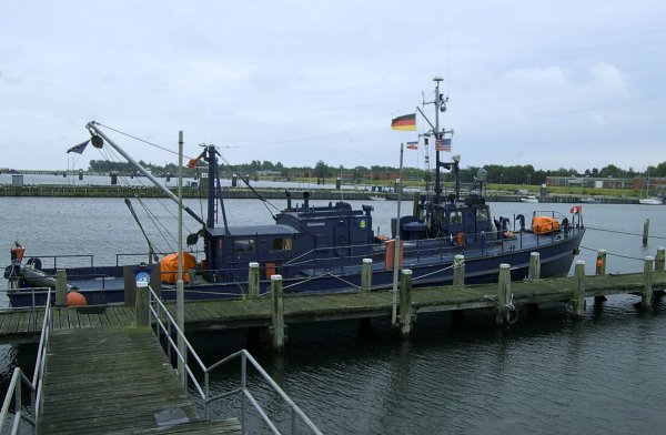 IMG viter59 Kormoran