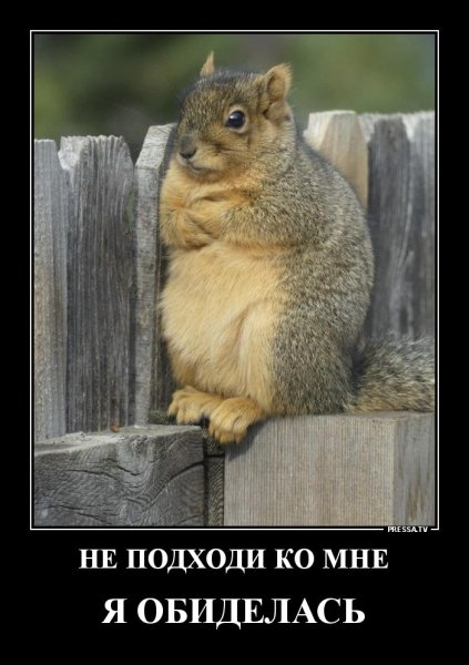 Не подходи, я обиделась