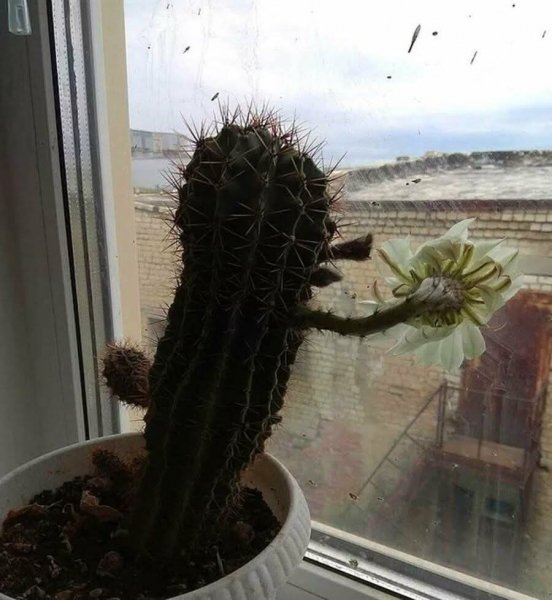 FB IMG 1751379064282