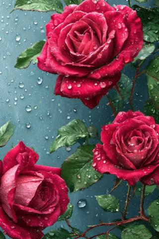 file_98726553
