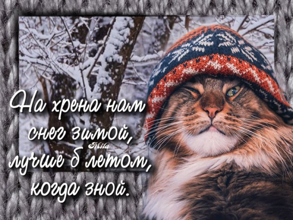file_92504214