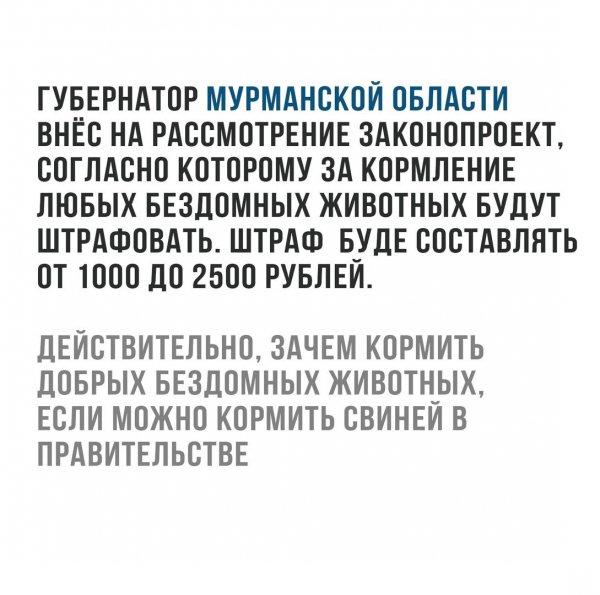 Корми Свиней