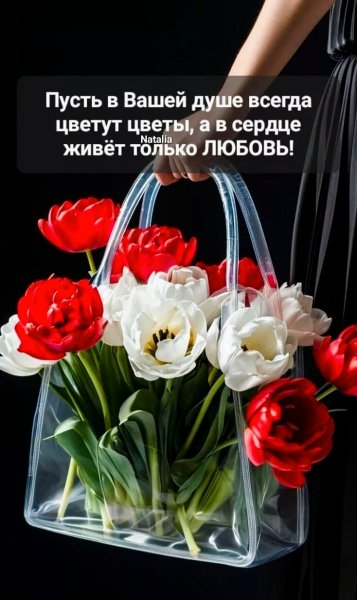 IMG 20260426 020233