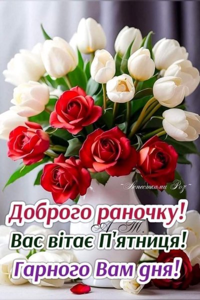 IMG-05fb7e2ce078c64328029e77a6a10432-V