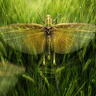 foto-priroda-41