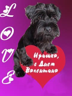 60.Валентинка Иришка