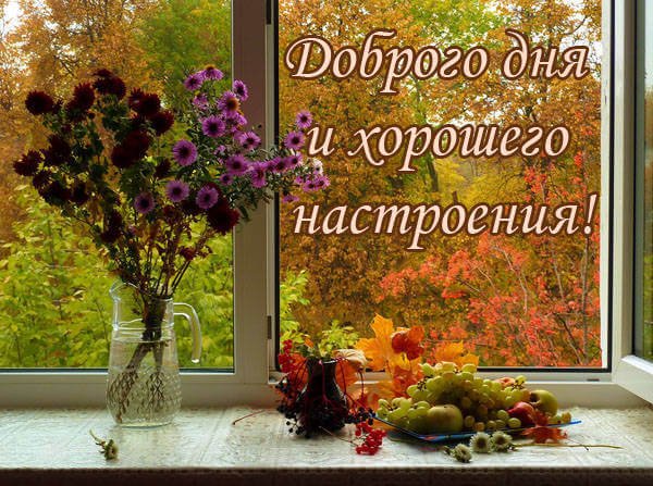 IMG 20181219 095797