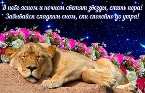 IMG 20181111 194603 021