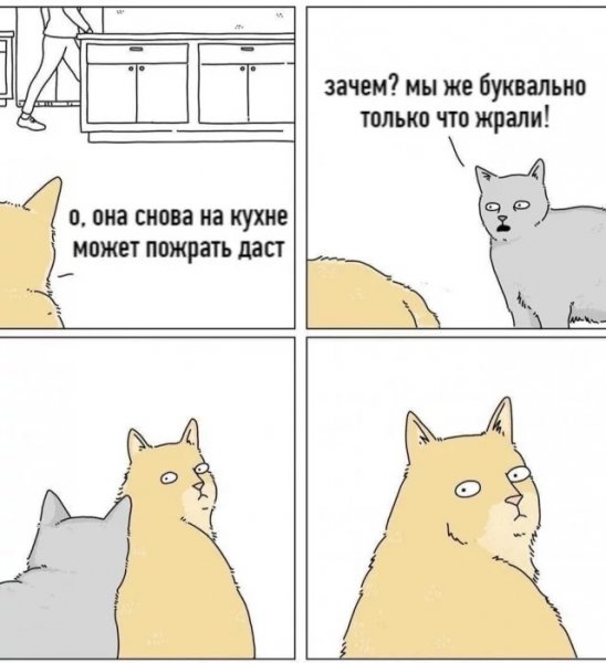 file_93247522