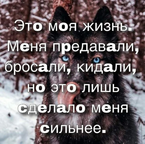 FB IMG 1627249695126