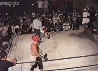 гифки, рефери