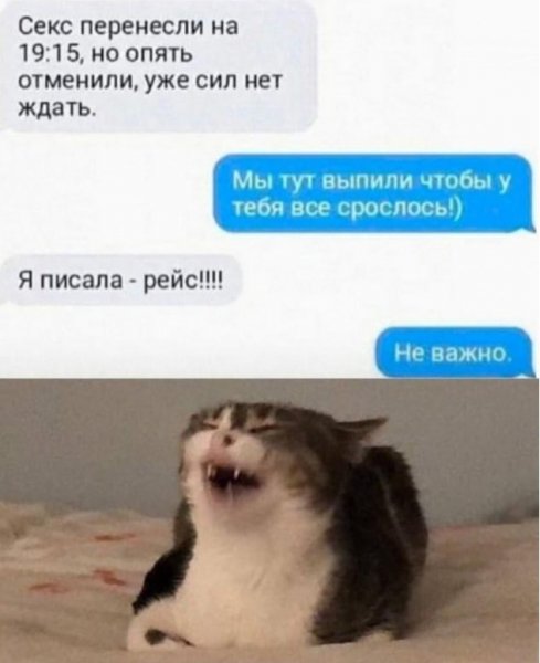 file_103169255