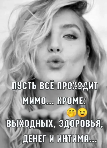 file_101504379