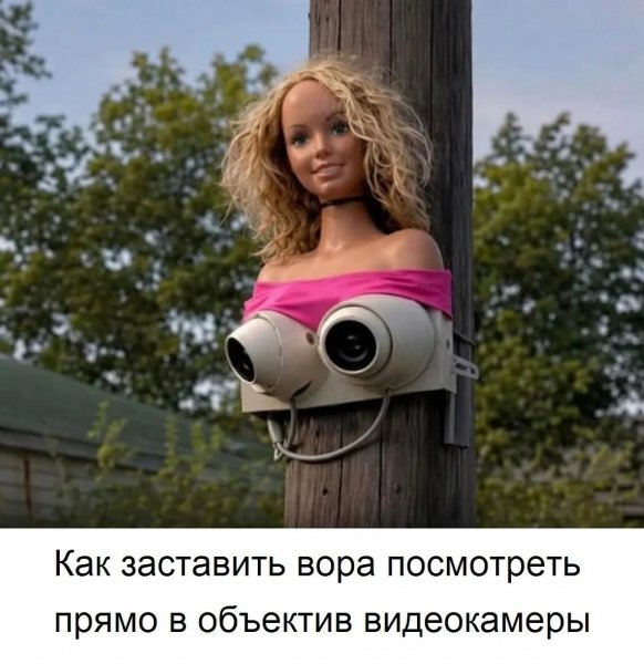 Как заставить вора