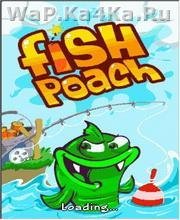 Fish Poach