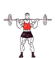delt