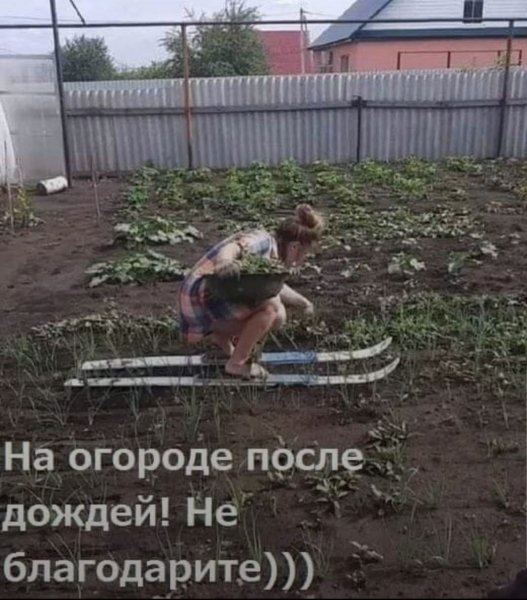 FB IMG 1777225935112