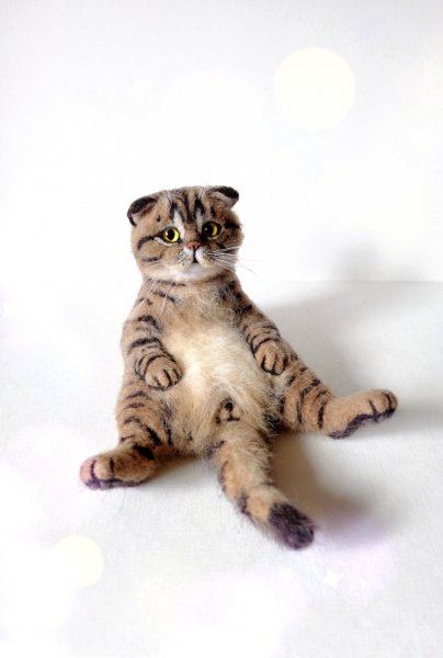 A2b6b08a9428fb52b71c94826ae30a50