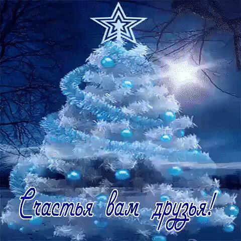 image (13)