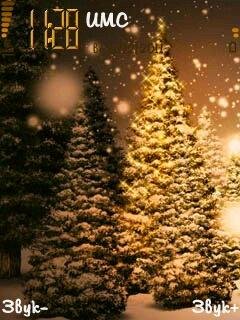 New Year