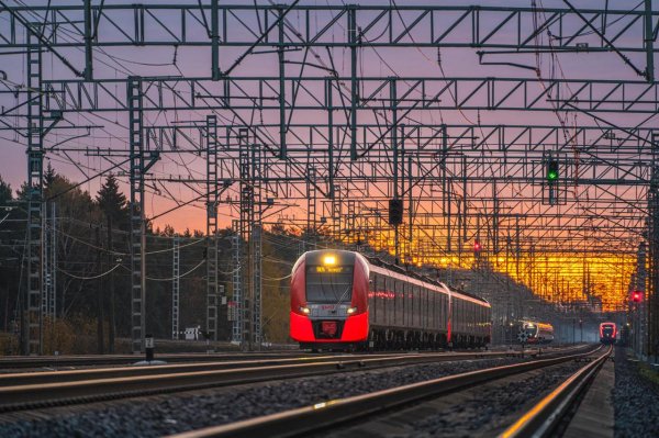 IMG 20241119 193830 531